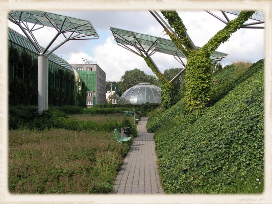 PICT0060.JPG