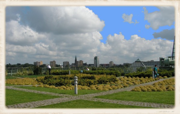 PICT0077.JPG